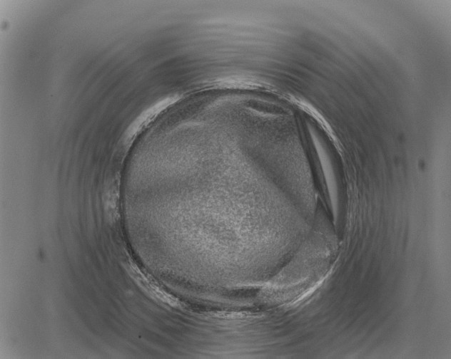 X0000080690930200612301446