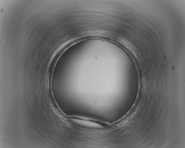 X0000080690931200612301446