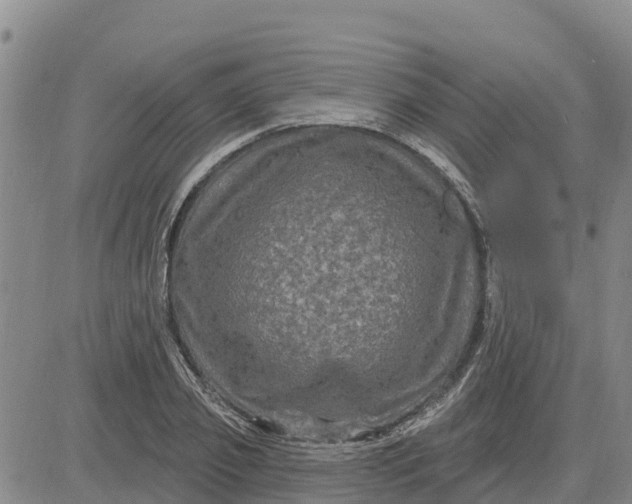 X0000080690933200612301446