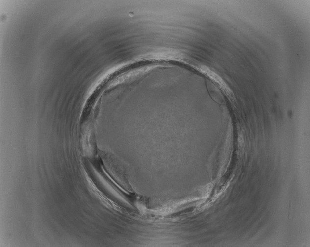 X0000080690934200612301446