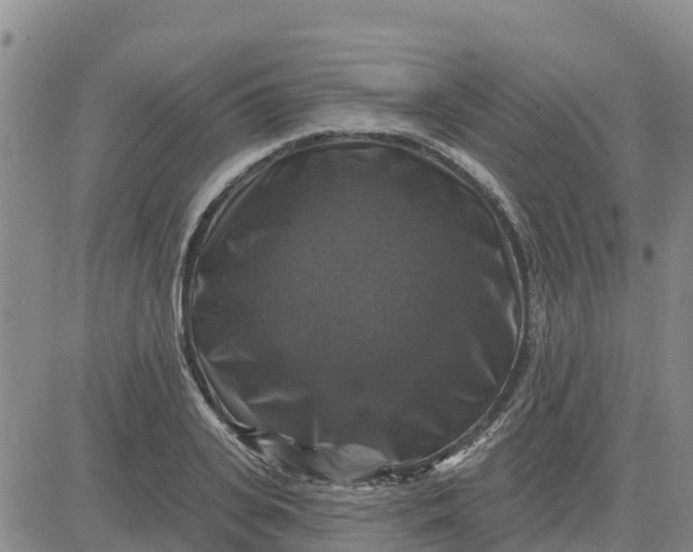 X0000080690935200612301446