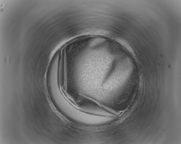 X0000080690936200612301446