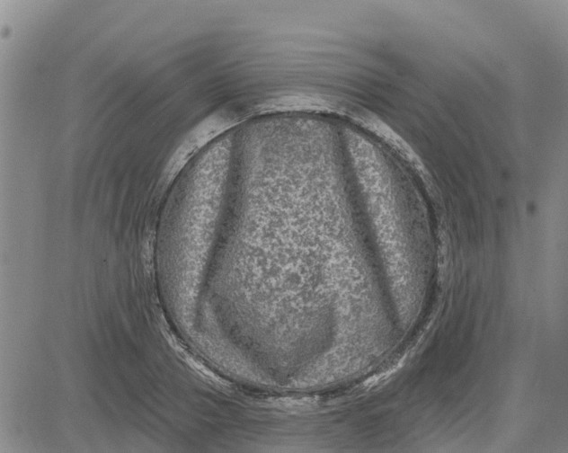 X0000080690937200612301446