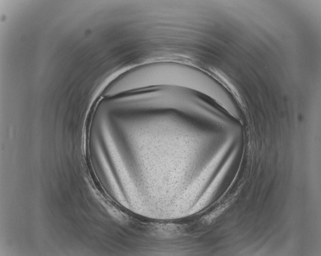 X0000080690940200612301446