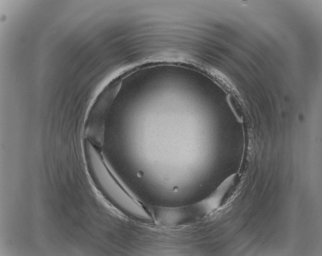 X0000080690942200612301446