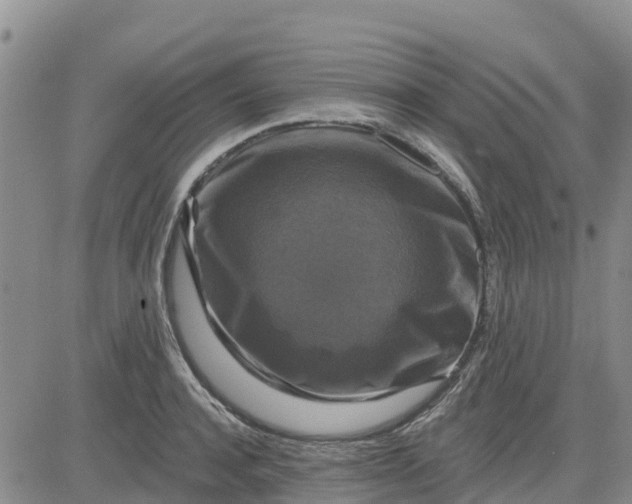 X0000080690944200612301446