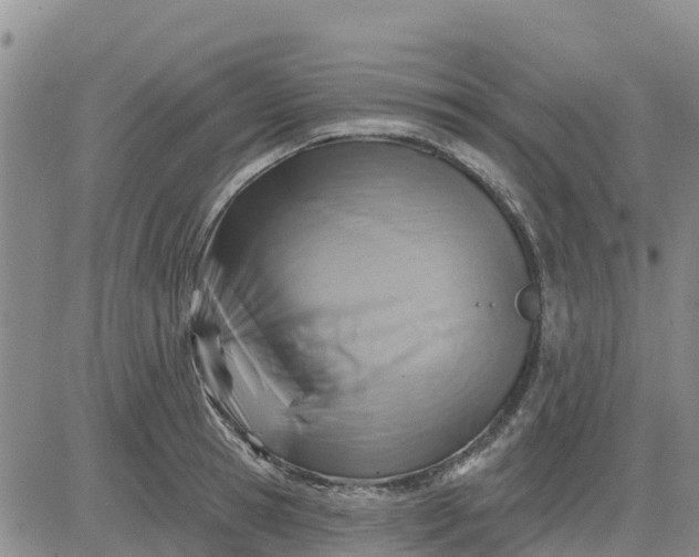 X0000080690945200612301446