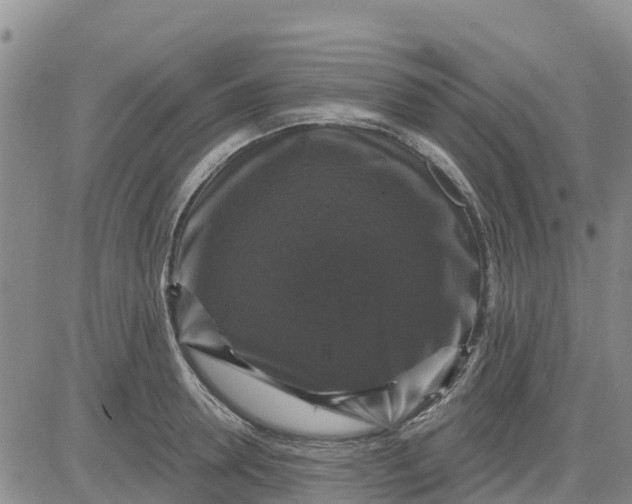 X0000080690946200612301446