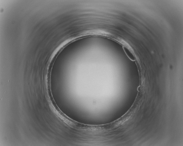 X0000080690947200612301446