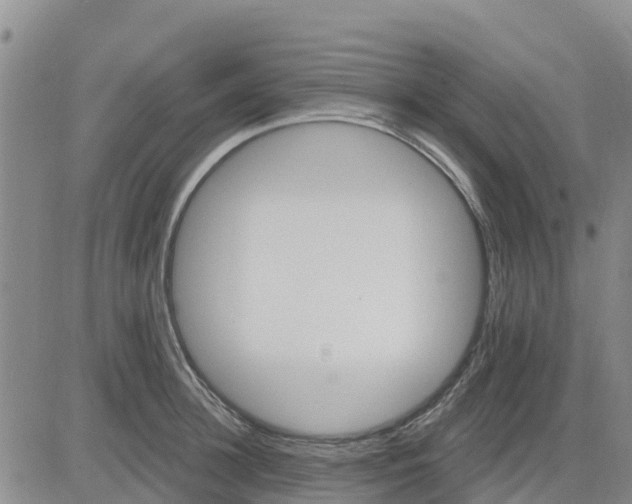 X0000080690948200612301446