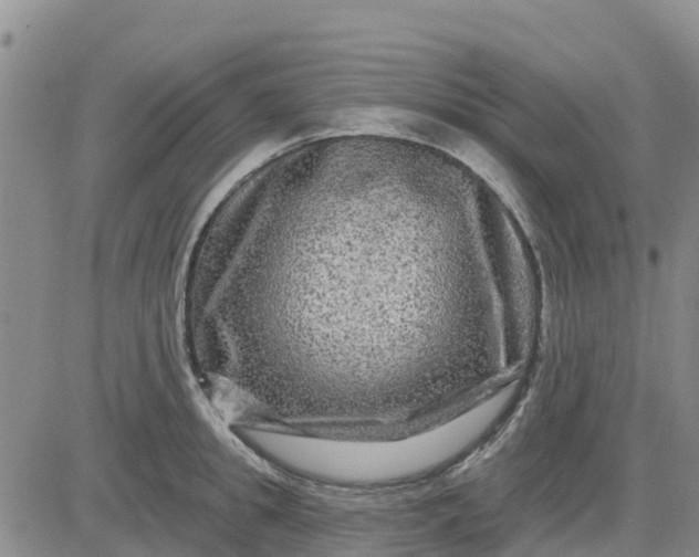 X0000080690949200612301446