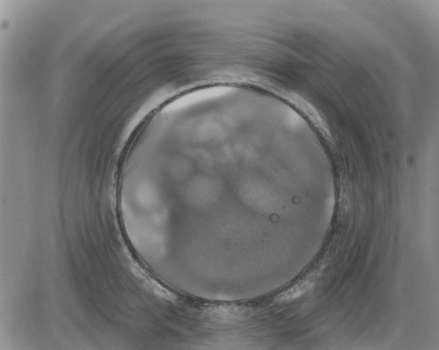 X0000080690950200612301446