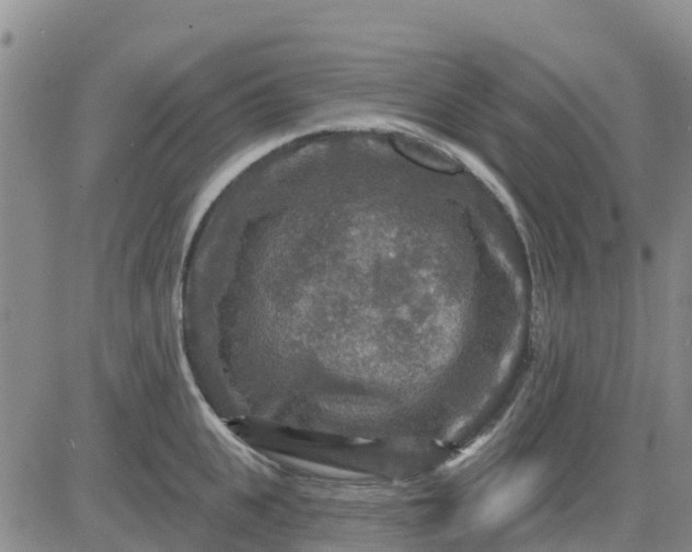 X0000080690951200612301446