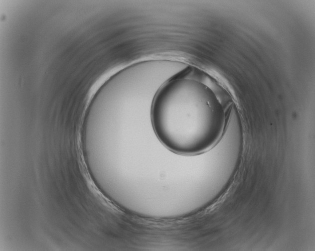 X0000080690952200612301446