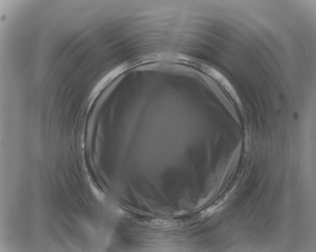 X0000080690954200612301446