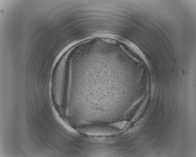 X0000080690955200612301446