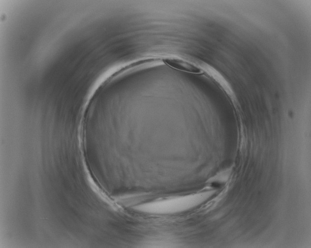 X0000080690958200612301446