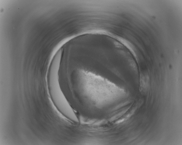 X0000080690959200612301446