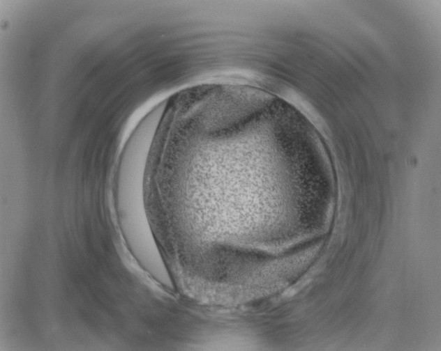 X0000080690960200612301446