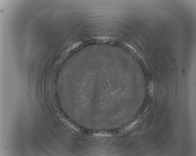 X0000080690961200612301445