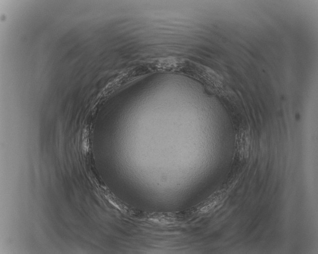 X0000080690962200612301445