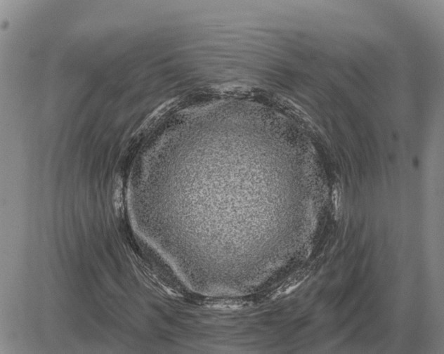 X0000080690963200612301445