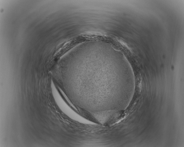 X0000080690965200612301445