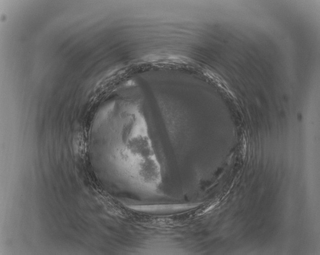 X0000080690966200612301445