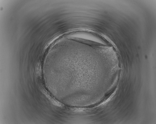 X0000080690969200612301445