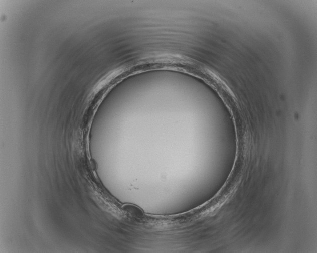 X0000080690970200612301445