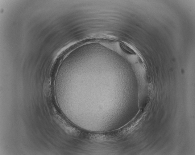 X0000080690971200612301445