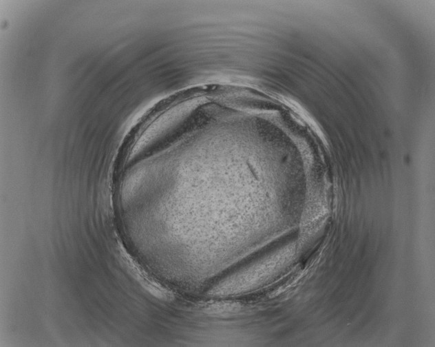 X0000080690972200612301445