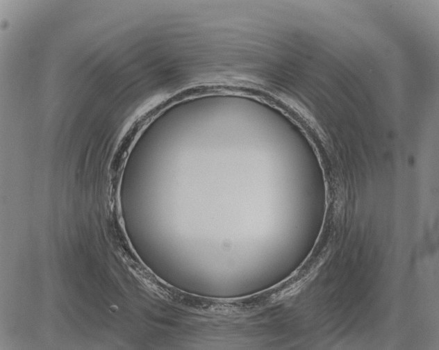 X0000080690974200612301445