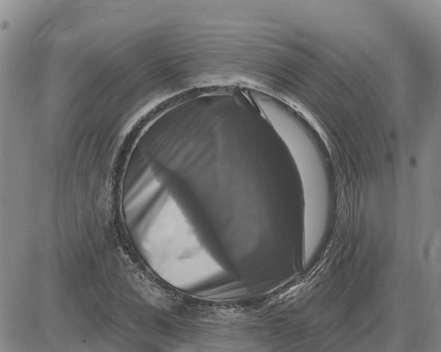 X0000080690975200612301445