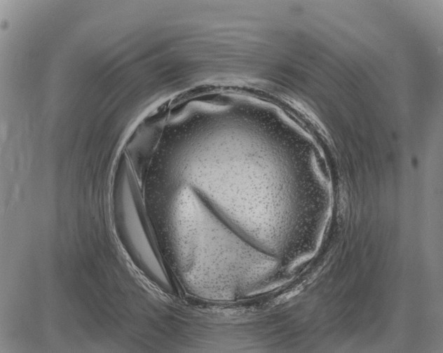 X0000080690976200612301445