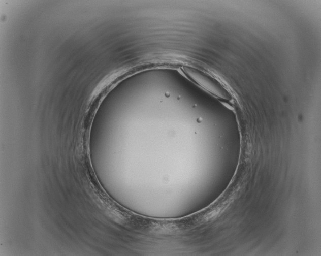 X0000080690978200612301445