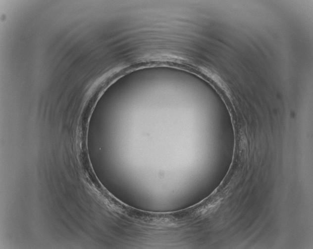 X0000080690979200612301445