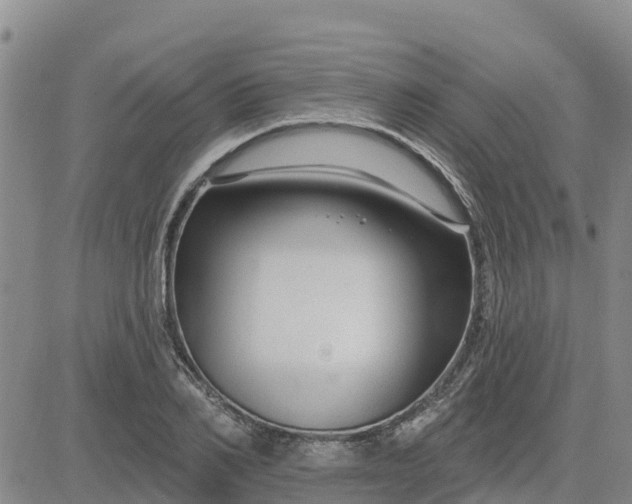 X0000080690982200612301445