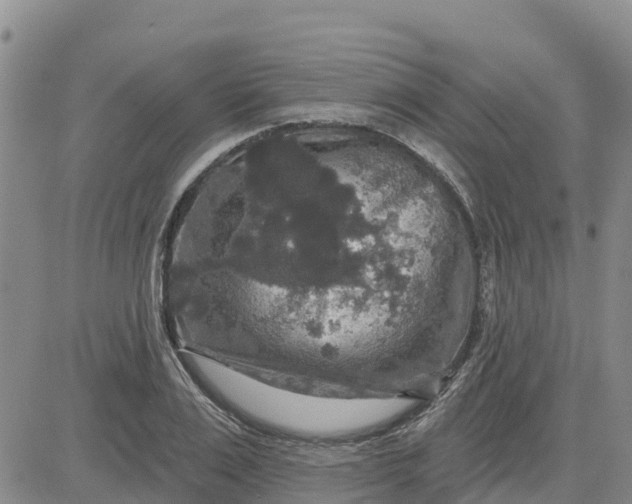 X0000080690983200612301445