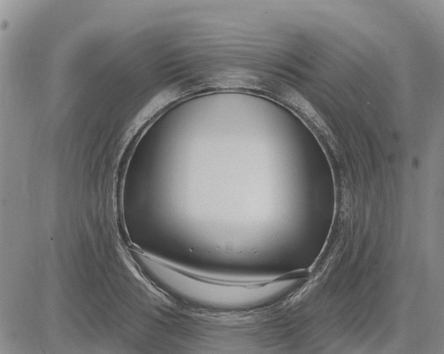 X0000080690986200612301445