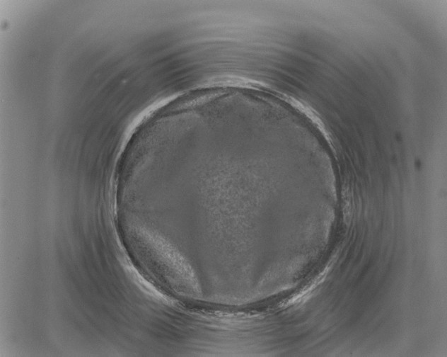 X0000080690987200612301445