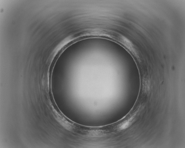 X0000080690988200612301445