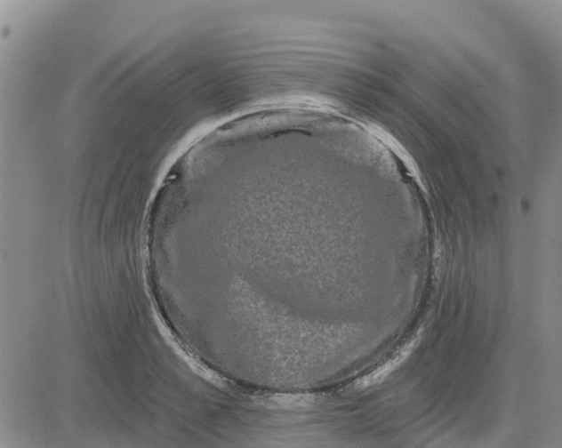 X0000080690989200612301445