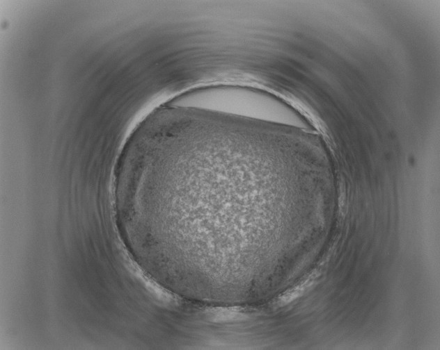 X0000080690990200612301445