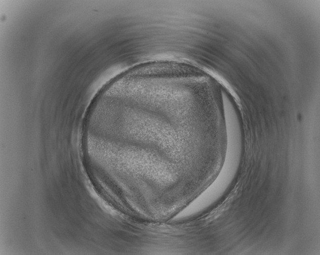 X0000080690991200612301445