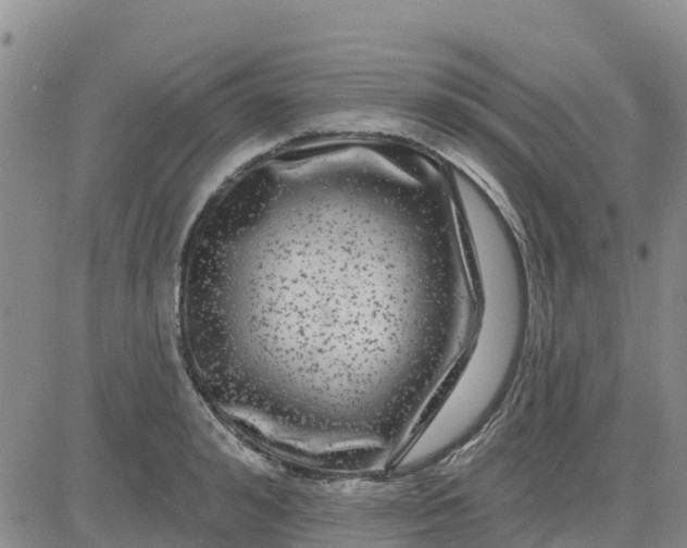 X0000080690992200612301445