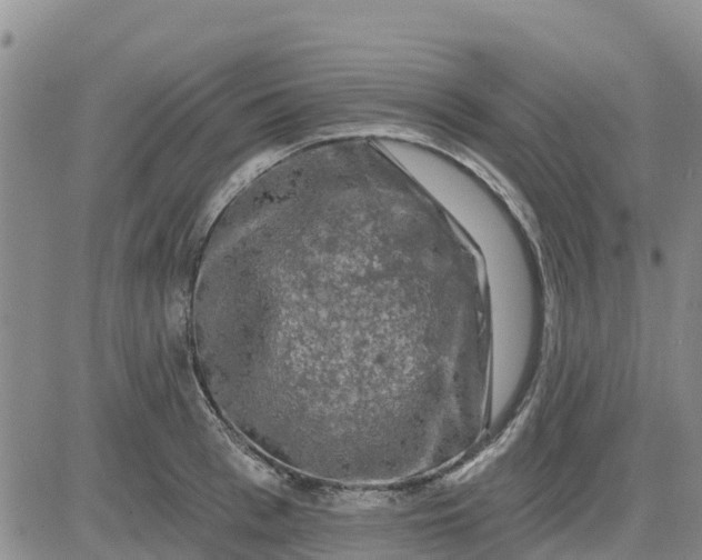 X0000080690993200612301445