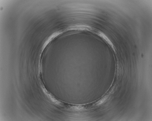 X0000080690994200612301445