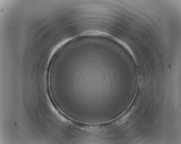 X0000080690995200612301445