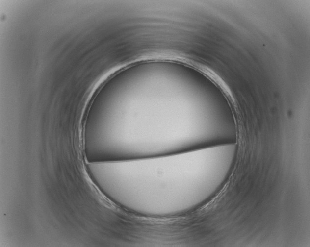 X0000080690996200612301445